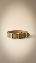 Italian Leather City Leash