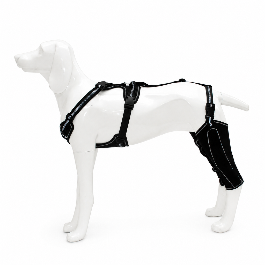 LumiPaws® Adjustable Canine Thigh & Knee Support Brace with Metal Stabilizers